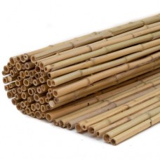 Bamboe rolscherm Dalian 100x180 cm